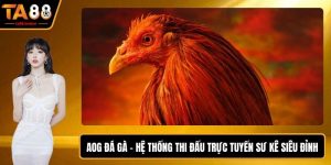 AOG Đá Gà