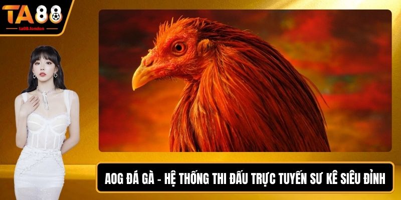 AOG Đá Gà