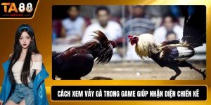 Cách Xem Vảy Gà