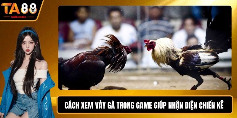 Cách Xem Vảy Gà