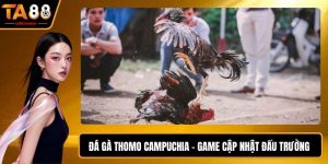 Đá Gà Thomo Campuchia