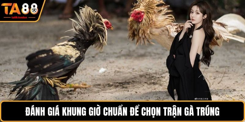 Đánh giá khung giờ chuẩn để chọn trận gà trúng