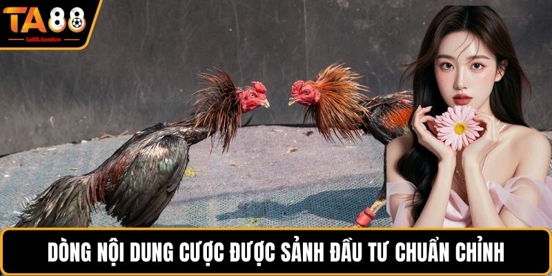 Dòng nội dung cược được sảnh đầu tư chuẩn chỉnh