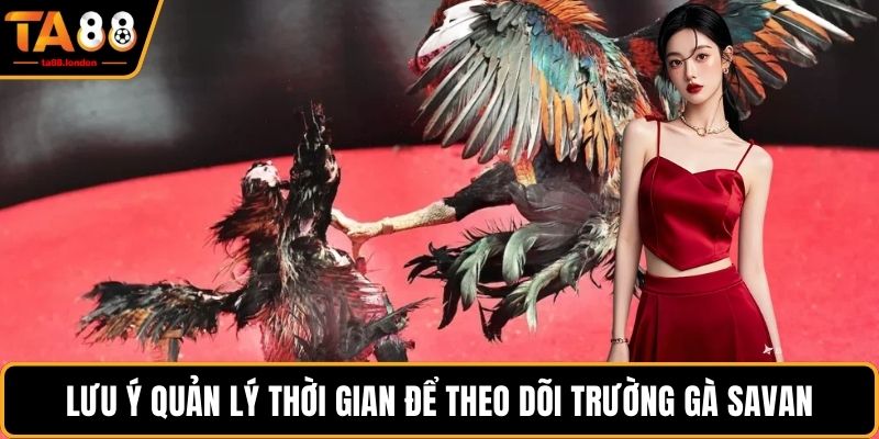 Lưu ý quản lý thời gian để theo dõi trường gà Savan