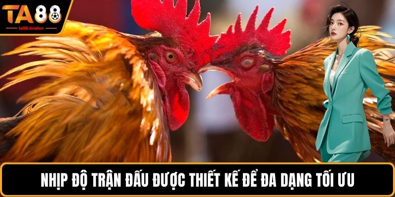 Nhịp độ trận đấu được thiết kế để đa dạng tối ưu