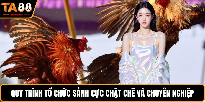 Quy trình tổ chức sảnh cực chặt chẽ và chuyên nghiệp