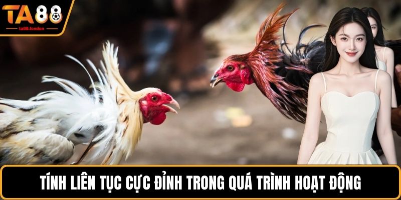 Tính liên tục cực đỉnh trong quá trình hoạt động