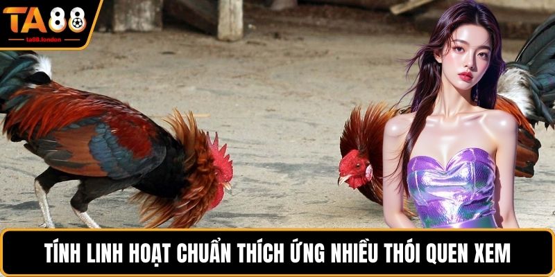 Tính linh hoạt chuẩn thích ứng nhiều thói quen xem